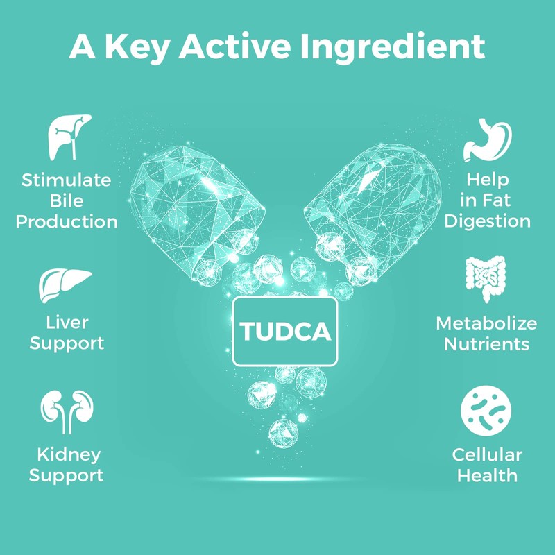 Kayseari TUDCA Bile Salts Supplement 1000mg - 60 Veggie Capsules,Liver