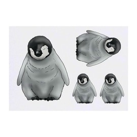 4 x 'Penguin Chick' Temporary Tattoos - Water Resistant, Skin-Safe, Non-Toxic Transfers, Mixed Sizes (TO00079208)