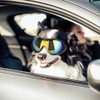 Medium and Large Dog UV Goggles Sunglasses Pet Eyes Protective