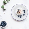 Dicunoy Set of 5 Enamel Plates, 9.5" Unbreakable Enamelware Dinner