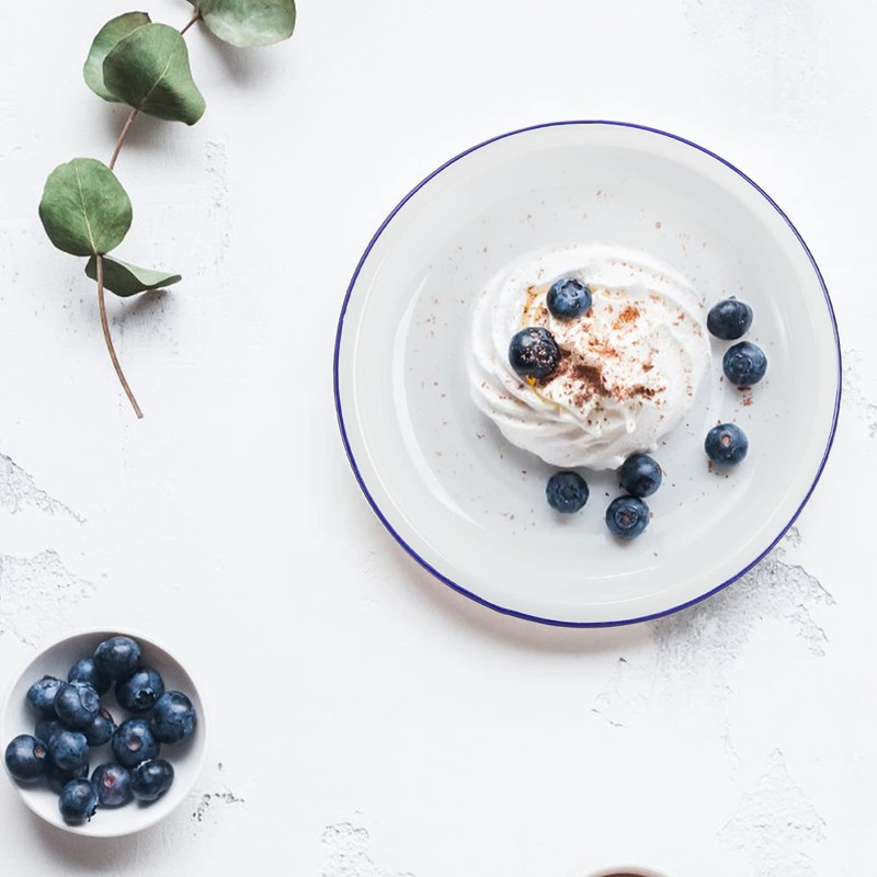 Dicunoy Set of 5 Enamel Plates, 9.5" Unbreakable Enamelware Dinner