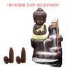 Backflow Incense Cones (Lavender) Total 40 Cones - Hem Incense