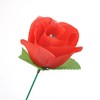 Yeahgoshopping The Torch to Rose Magic Trick – A Mesmerizing
