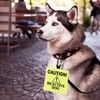 Dog Reactive Alert Hanging Patch Caution Stop Dog Alert Hanging