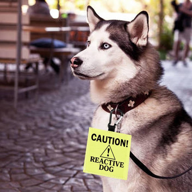 Dog Reactive Alert Hanging Patch Caution Stop Dog Alert Hanging