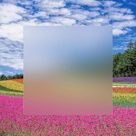 Rock Hard Plastics Clear P95 Frost Acrylic Sheet 12" x 12" .118" (1/8",3mm) 10 Pack, Bulk