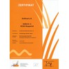 Bio Goldrutenkraut geschnitten - 200 Gramm, 100% Europäische Wildsammlung, Blasentee,