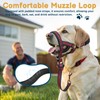 BARKLESS Muzzle Leash for Heavy Pullers, No Pull Stylish Head