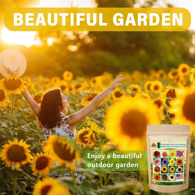 1000+ Sunflower Seeds for Planting Heirloom Non-GMO, Bulk Package of