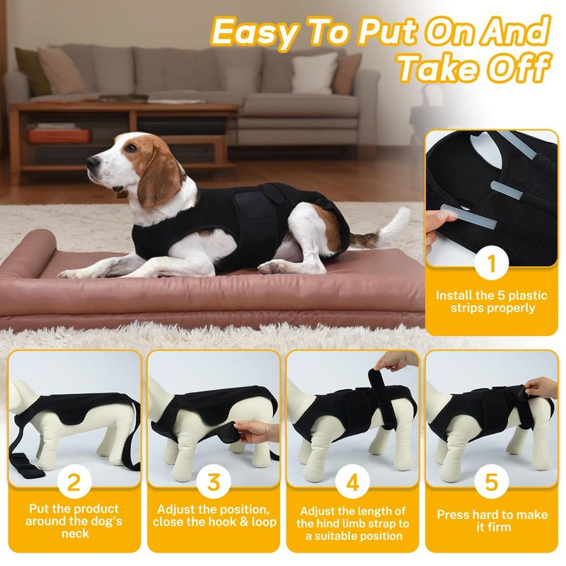 LeleTail Adjustable Back Support for Medium Dogs - Joint Support