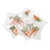 20pcs Carrot Shaped Hamster Toy Teeth Grinding Decorative Crude Fiber