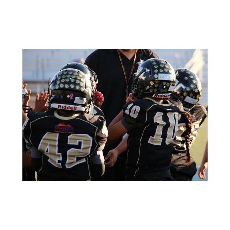 20 Mil Thick Premium Vinyl Pancake Award Decals 100 Football