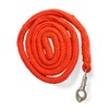 Lead Rope with Panic Hook for Horses, Tie Rope in