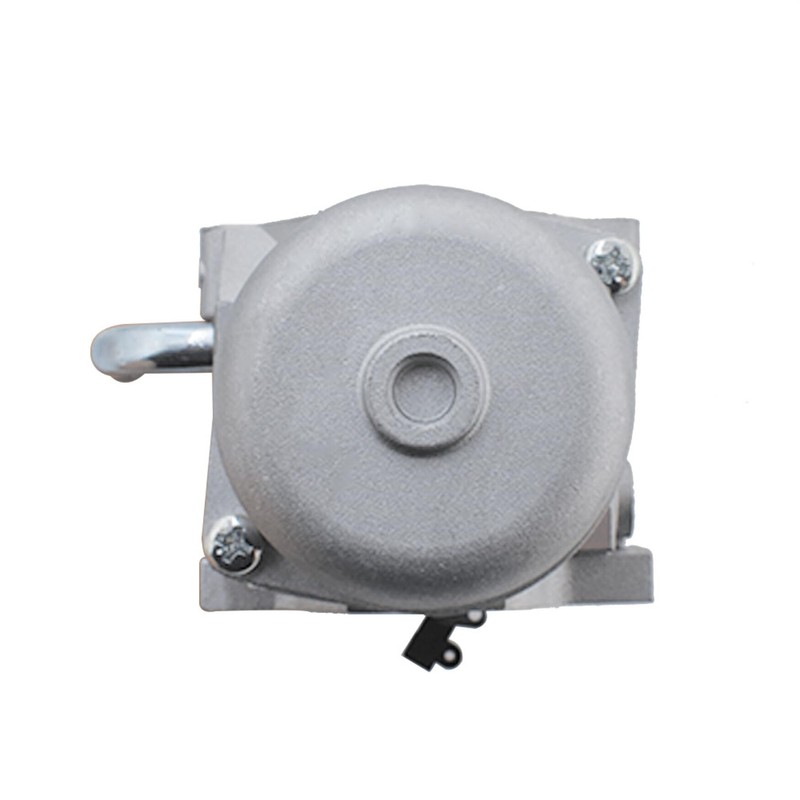 WFLNHB 793779 Carburetor Replacement for Briggs Stratton 591378 699966 699958