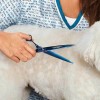 MPP 5200 Blue Titanium Series Shears Professional Pet Grooming Straight