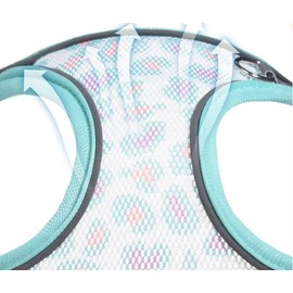 No Pull Dog Harness and Leash Set, Step-in Floral Print Adjustable Breathable Mesh Pet Harness, Reflective Soft Padded Dog Vest for Small Dogs (Blue, 2XS)