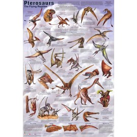 123Posters (24x36) Pterosaurs Poster - Educational and Scientific chart