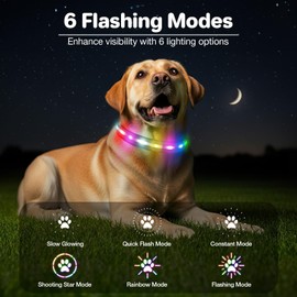 Fiveda Light Up Dog Collar, USB Rechargeable 6 Modes, Waterproof Charging Port, Long Lasting LED Collar - Adjustable Nylon Reflective for Dogs, Sizes S/M/L (7/9/11 Lights) -Black, S