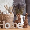 RattanView 2 Pcs Easter Chocolate Bunny Decor Figurines Brown Resin