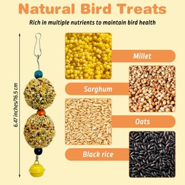PINVNBY 3 PCS Bird Treats Natural Bird Crunch Treats Grain Mixed Cockatiel Snacks Hanging Parrot Chewing Toy for Parakeet Conure Lovebird Budgie Finch Canary