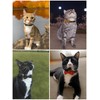 Pack of 2 Bow Tie Cat Collar Breakaway with Bell