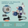 INKBIRDPLUS 12V DC CO2 Regulator with Dual Gauges, Bubble Counter