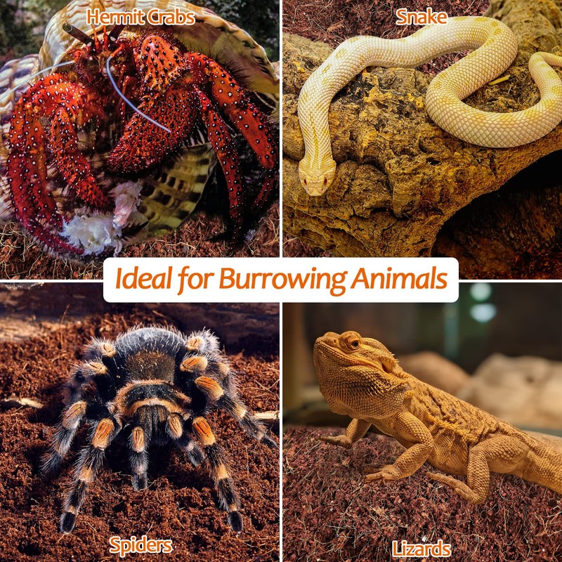 Riare 2 Pack Natural Coconut Fiber Substrate for Reptile- Premium