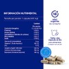 Lifeed Inmune 120 Capsulas Vitamina Jengibre Equinacea Zinc Curcuma Días