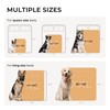 Waterproof Pet Blanket, Liquid Pee Proof Dog Blanket for Sofa