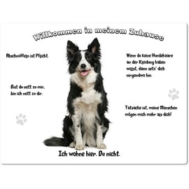 Merchandise for Fans Tin Sign / Warning Sign / Fun Door Sign 20 x 30 cm – Welcome to Our Home – Motif: Border Collie Sitting on a White Background – 02