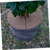 Levemolo 12 Pack Tree Mulch Ring Mats Coir Fiber Coconuts