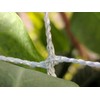 247Garden 6X200FT All-Season Trellis Netting w/ 6in Square Mesh (White,