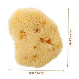 SEWACC Natural Sponge Art Tool Random Shape Watercolor Painting Sponges for Creative Crafting Easy to Clean