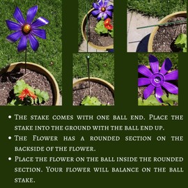 Sunset Vista Daisy Spinner-Blue SM