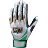 ZETT BG13011C Pro Status Batting Gloves Two-Handed Silver x Green