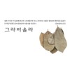 Imported graviola 250g, Anonamuracata / 수입 그라비올라 250g, 아노나무라카타