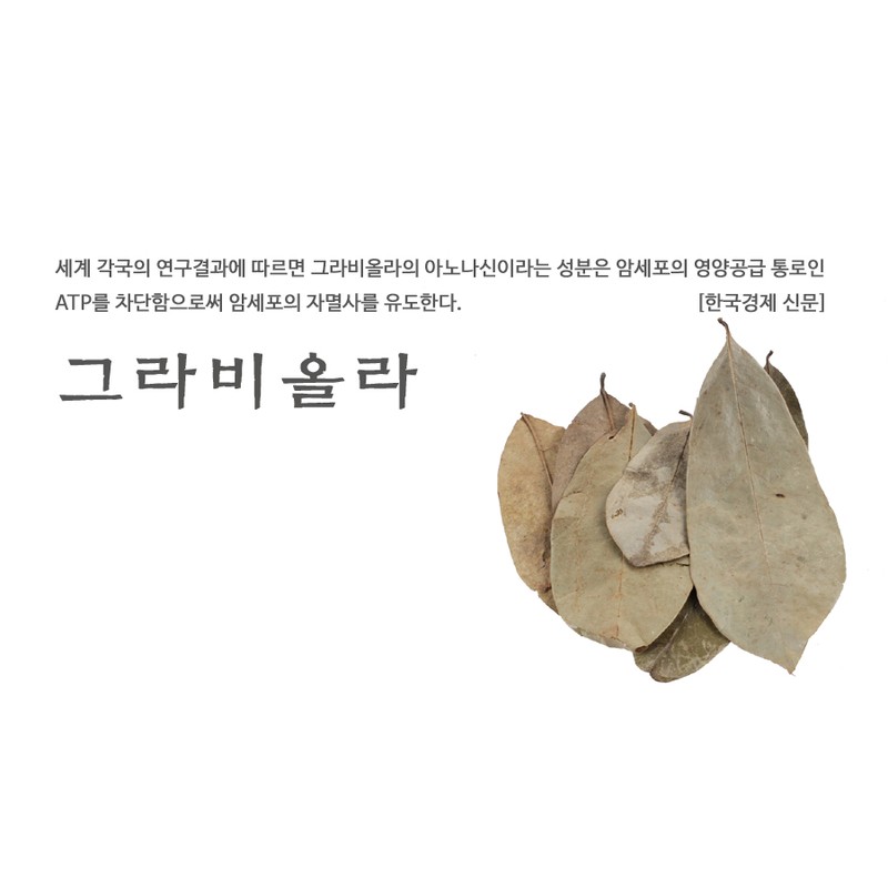 Imported graviola 250g, Anonamuracata / 수입 그라비올라 250g, 아노나무라카타