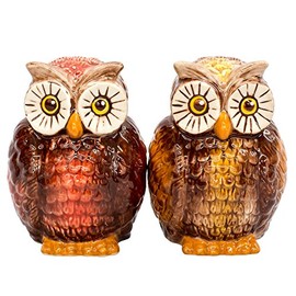 Attractive Salt and Pepper Shaker - OWLS by Pacific Trading