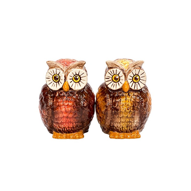 Attractive Salt and Pepper Shaker - OWLS by Pacific Trading