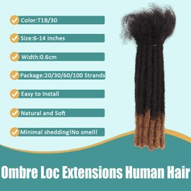Viovian 0.6cm Dreadlock Extensions Human Hair 6 Inch 20 Strands Real Dreads Extensions Human Hair Loc Extensions Natural Dread Extensions for Men Ombre Color 1b/30