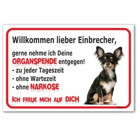 AdriLeo Sign, "Vorsicht Chihuahua- Willkommen lieber Einbrecher (15 x 20 cm) / Achtung Familienhund Wachhund German Small Dog Robust Durable UV-Resistant Weatherproof Warning Sign