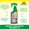 Neudorff Biokraft Vitalkur für Orchideen (Ready to Use) 500 ml