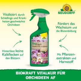 Neudorff Biokraft Vitalkur für Orchideen (Ready to Use) 500 ml
