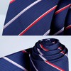 HISDERN Lot 3 PCS Classic Men's Tie Set Necktie &