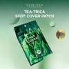 SKIN1004 [SKIN1004]Spot Cover Patch 22pcs