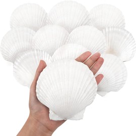 20PCS Large Natural Scallop Shells, Bulk 4''-5'' Sea Shell for Crafts DIY Painting Baking Decorations, Large White Seashells for Ocean Themed Parties Summer Beach Home Wedding Decor