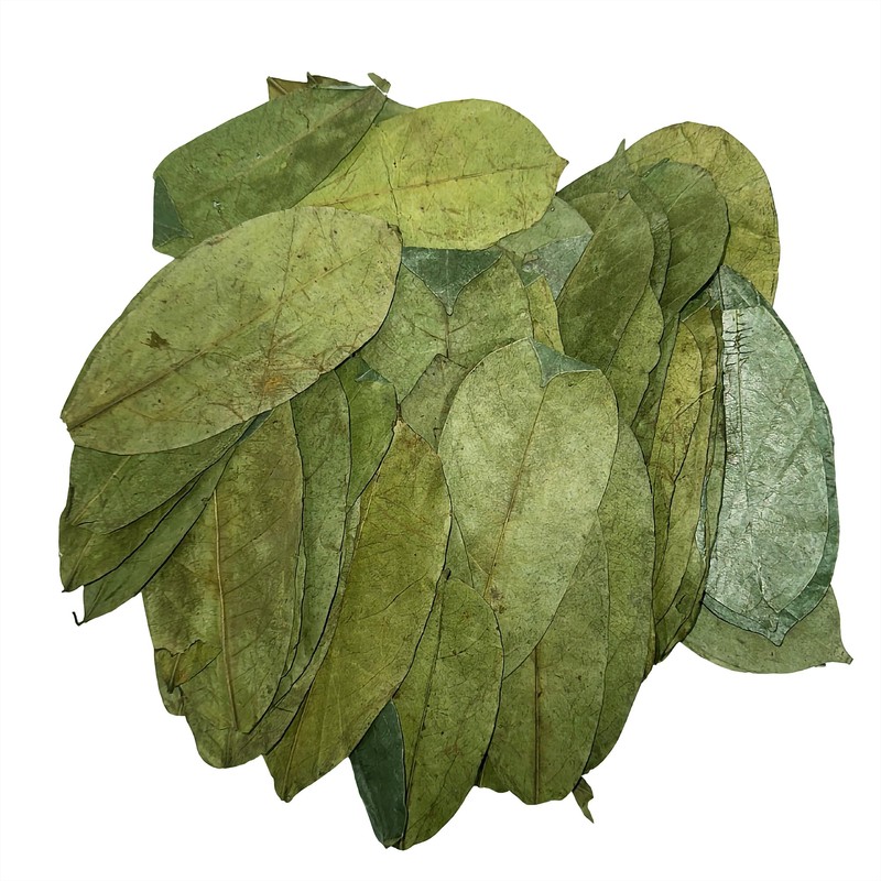 Graviola Tea Company® Wildcrafted Graviola Soursop Leaves (±25 g /