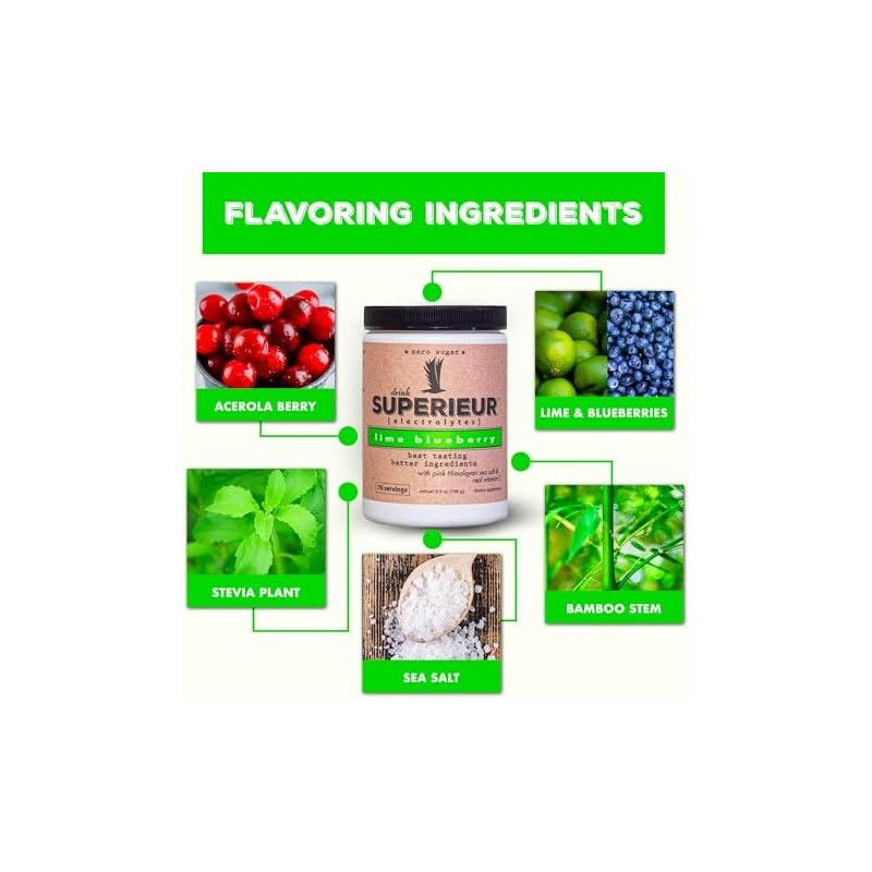 Electrolyte Powder Packets - Vegan Electrolyte Hydration Powder wSea Minerals
