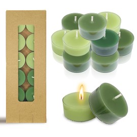 Cedar Scented Tealight Candles Clear Cup Gradient Green Tea Lights Candles 24 Pack Colored Fragrance Candle 6 Hour Burn Time Small Tea Candles for Dinner Home Holiday Wedding Party