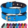 Didog Dog Collar with Soft Padding, Strong Dog Collars with